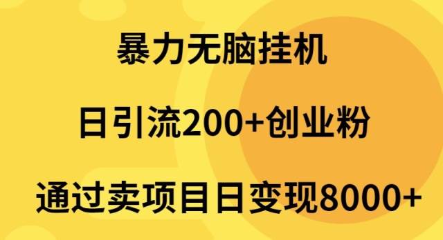 暴力无脑挂机日引流200+创业粉通过卖项目日变现2000+-副业大全