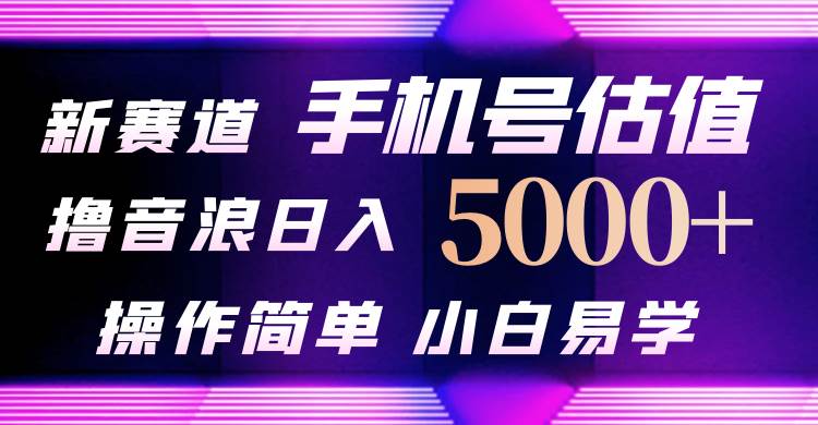 抖音不出境直播【手机号估值】最新撸音浪，日入5000+，简单易学，适合…-副业大全