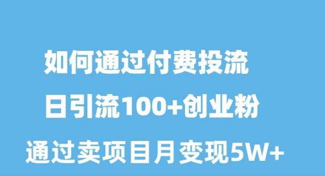 如何通过付费投流日引流100+创业粉月变现5W+-副业大全