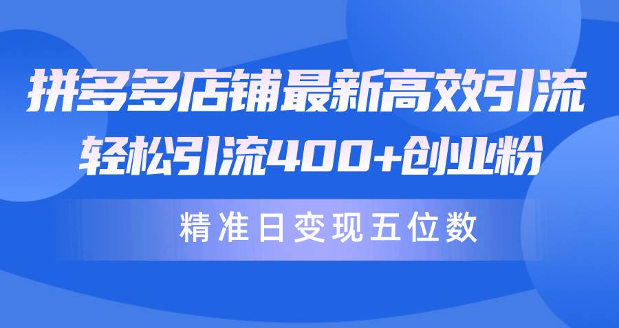 拼多多店铺最新高效引流术，轻松引流400+创业粉，精准日变现五位数！-副业大全