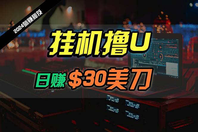 日赚30美刀，2024最新海外挂机撸U内部项目，全程无人值守，可批量放大-副业大全