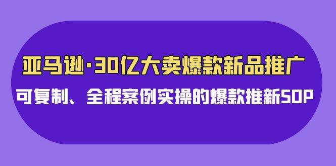 亚马逊30亿·大卖爆款新品推广，可复制、全程案例实操的爆款推新SOP-副业大全