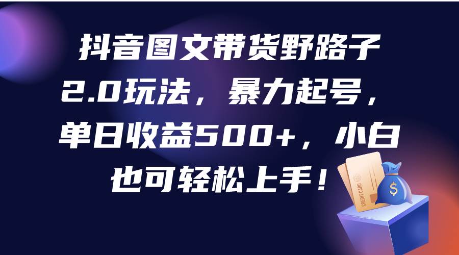抖音图文带货野路子2.0玩法，暴力起号，单日收益500+，小白也可轻松上手！-副业大全
