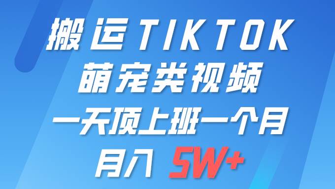 一键搬运TIKTOK萌宠类视频 一部手机即可操作 所有平台均可发布 轻松月入5W+-副业大全