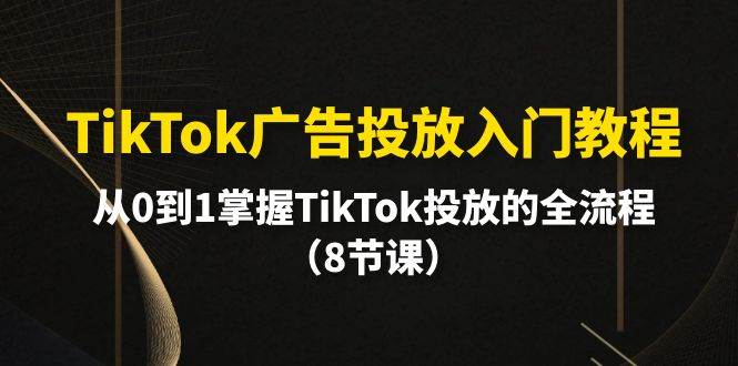 TikTok广告投放入门教程，从0到1掌握TikTok投放的全流程（8节课）-副业大全