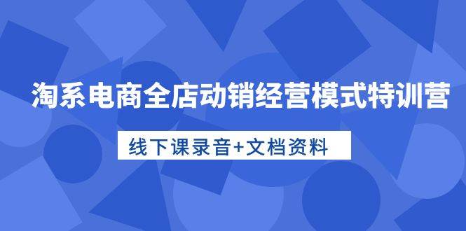 淘系电商全店动销经营模式特训营，线下课录音+文档资料-副业大全