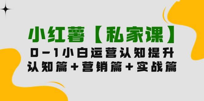 小红薯【私家课】0-1玩赚小红书内容营销，认知篇+营销篇+实战篇（11节课）-副业大全
