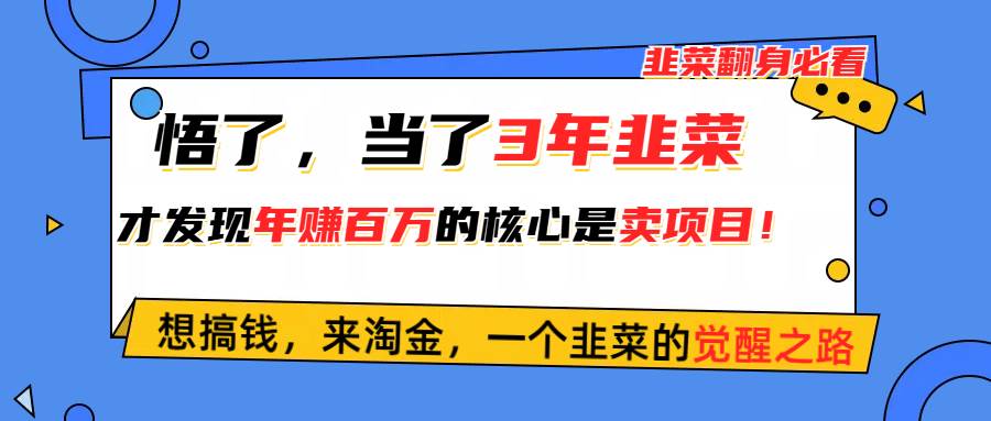 悟了，当了3年韭菜，才发现网赚圈年赚100万的核心是卖项目，含泪分享！-副业大全