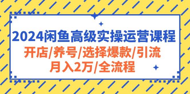 2024闲鱼高级实操运营课程：开店/养号/选择爆款/引流/月入2万/全流程-副业大全