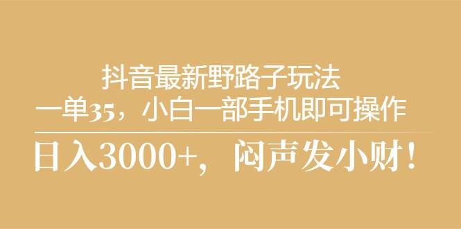 抖音最新野路子玩法，一单35，小白一部手机即可操作，，日入3000+，闷…-副业大全