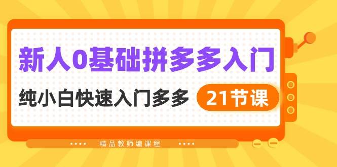 新人0基础拼多多入门，纯小白快速入门多多（21节课）-副业大全