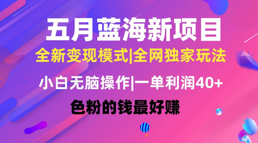 五月蓝海项目全新玩法，小白无脑操作，一天几分钟，矩阵操作，月入4万+-副业大全