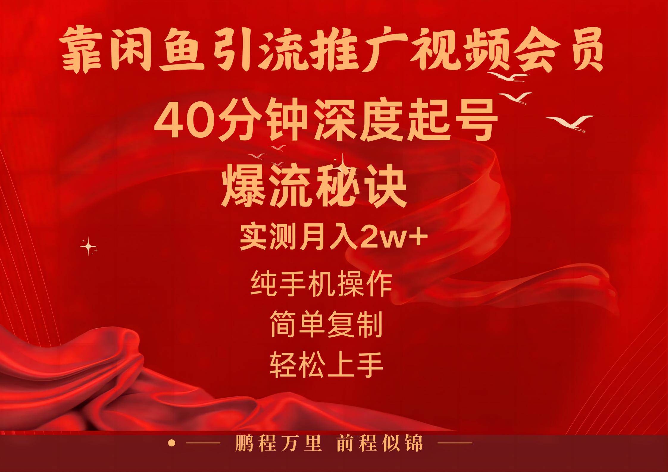 闲鱼暴力引流推广视频会员，能做到日入2W+，操作简单-副业大全