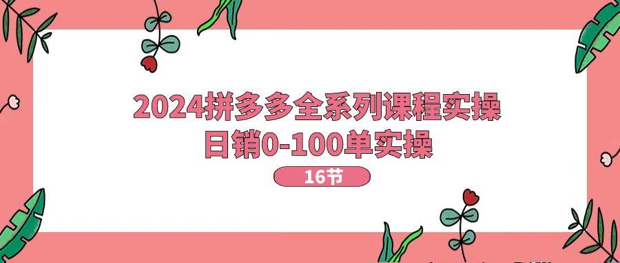2024拼多多全系列课程实操，日销0-100单实操【16节课】-副业大全