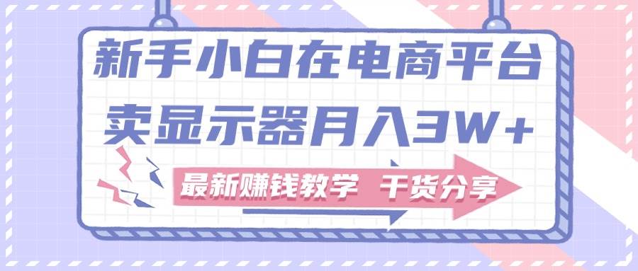 新手小白如何做到在电商平台卖显示器月入3W+，最新赚钱教学干货分享-副业大全