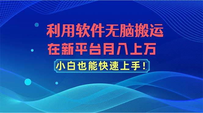 利用软件无脑搬运，在新平台月入上万，小白也能快速上手-副业大全