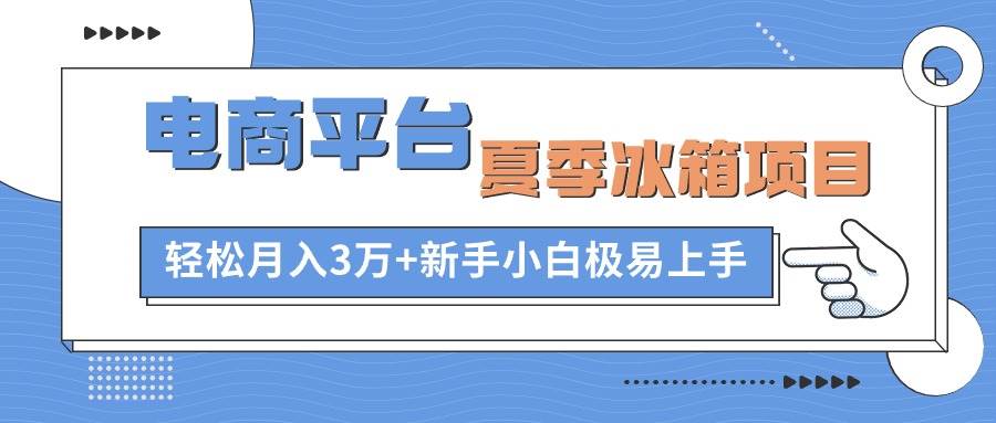 电商平台夏季冰箱项目，轻松月入3万+，新手小白极易上手-副业大全