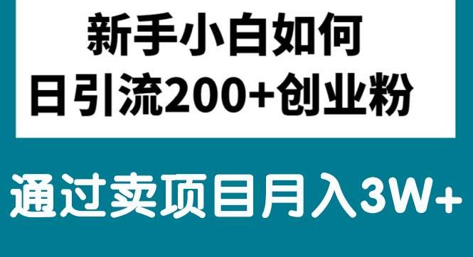 新手小白日引流200+创业粉,通过卖项目月入3W+-副业大全