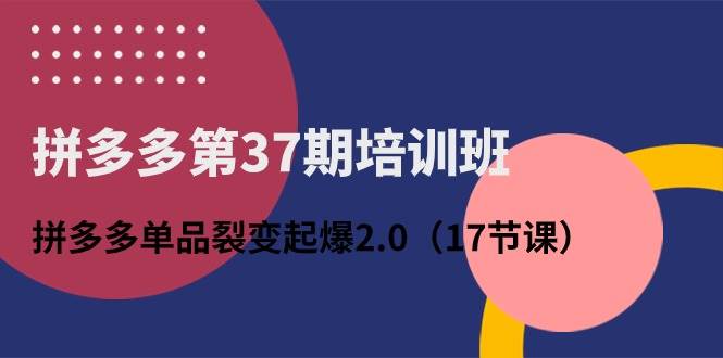 拼多多第37期培训班：拼多多单品裂变起爆2.0（17节课）-副业大全