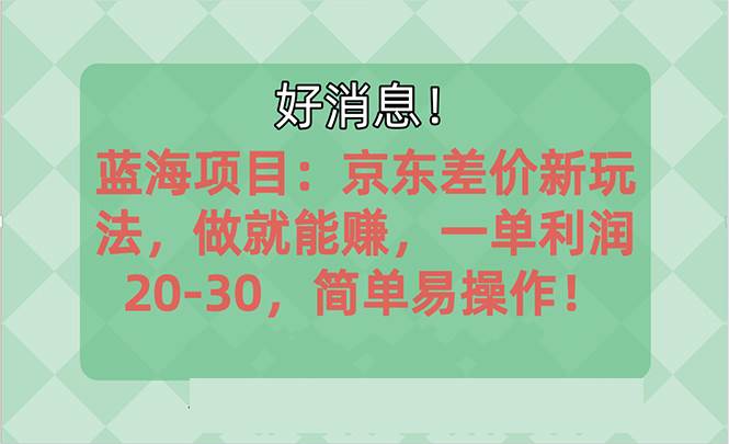 越早知道越能赚到钱的蓝海项目：京东大平台操作，一单利润20-30，简单…-副业大全
