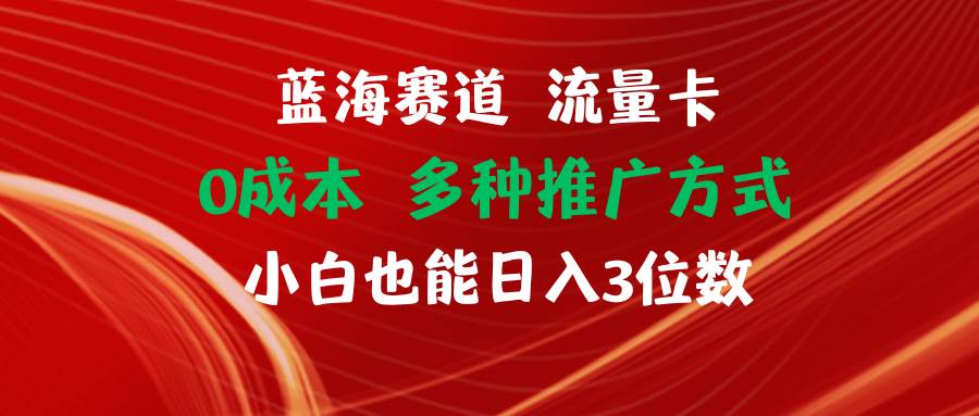 蓝海赛道 流量卡 0成本 小白也能日入三位数-副业大全