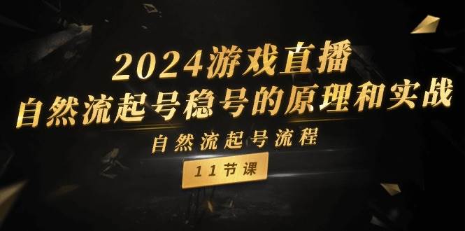 2024游戏直播-自然流起号稳号的原理和实战，自然流起号流程（11节）-副业大全