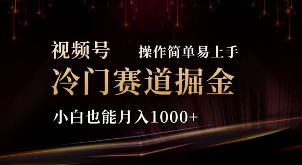 2024视频号冷门赛道掘金，操作简单轻松上手，小白也能月入1000+-副业大全
