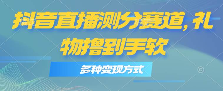 抖音直播测分赛道，多种变现方式，轻松日入1000+-副业大全