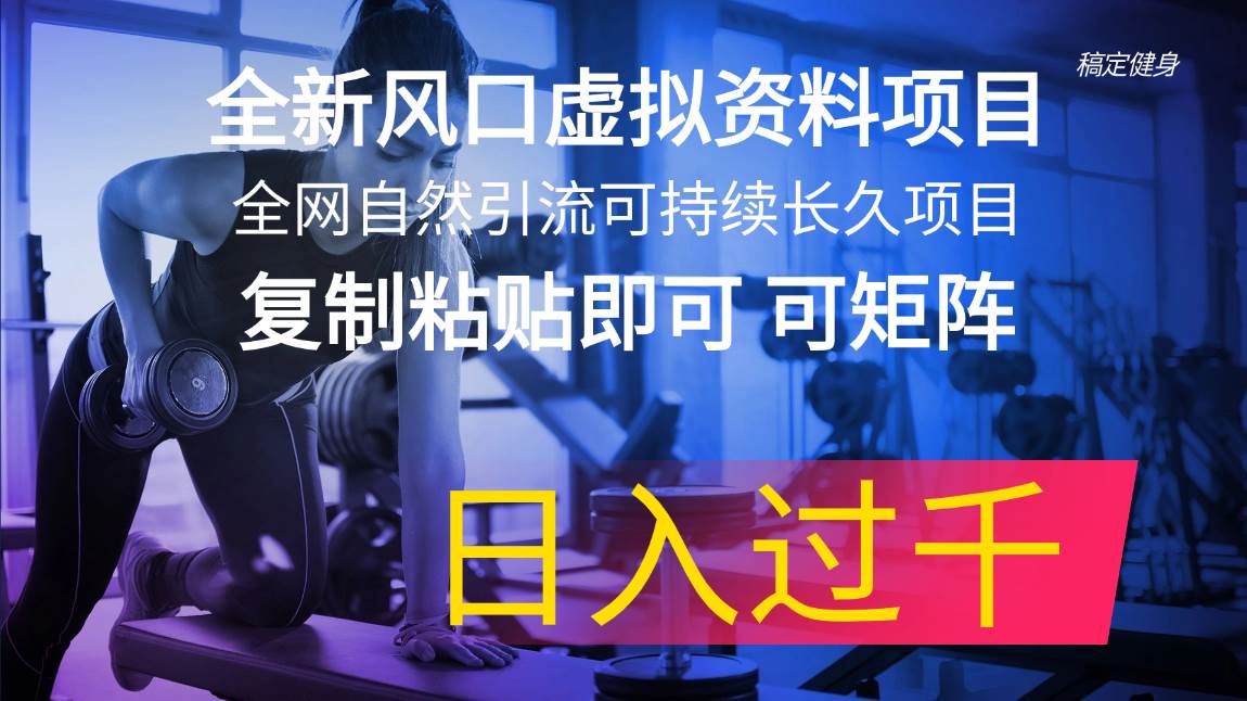 全新风口虚拟资料项目 全网自然引流可持续长久项目 复制粘贴即可可矩阵…-副业大全