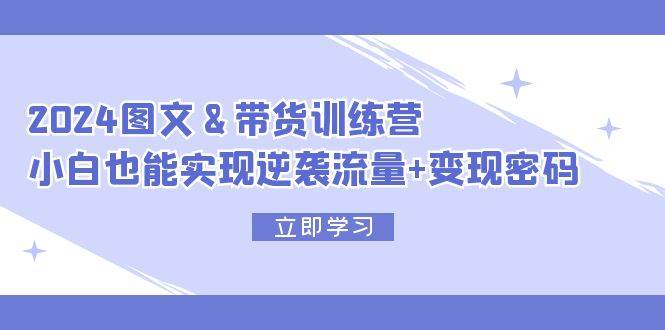 2024 图文+带货训练营，小白也能实现逆袭流量+变现密码-副业大全