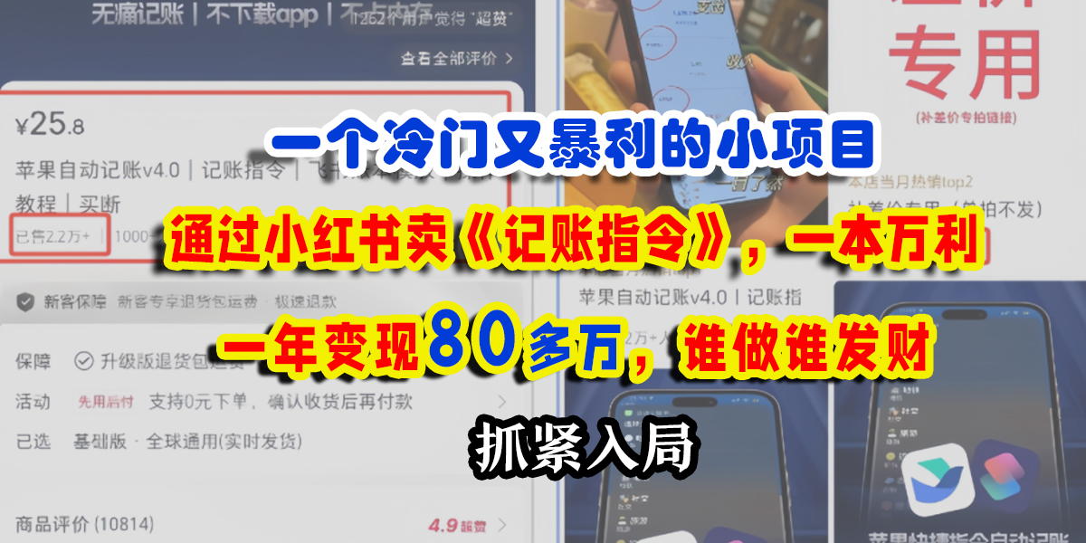 一个冷门又暴利的小项目，通过小红书卖《记账指令》，一本万利，一年变现80多万，谁做谁发财-副业大全