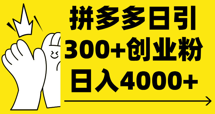 拼多多日引300+创业粉 日入4000+-副业大全