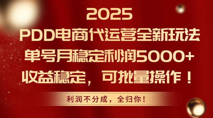 2025 PDD电商代运营全新玩法，单号月稳定利润5000+，收益稳定，可批量操作！-副业大全
