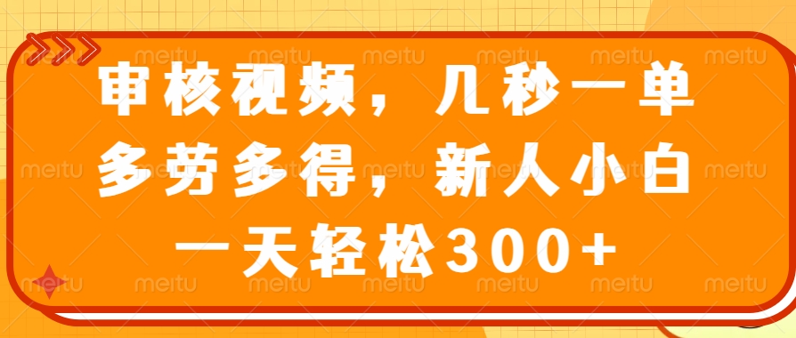 视频审核员，几秒一单，多劳多得，新人小白一天轻松300+-副业大全